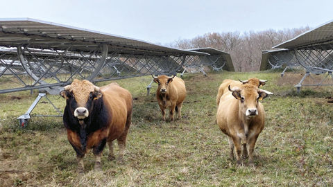 Une installation taillée pour le bien-être animal Une installation taillée pour le bien-être animal