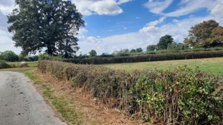Pour préciser aux agriculteurs ce qu'il est possible de faire ou non sur les haies, les organisations professionnelles de la Saône-et-Loire avaient convié le 12 septembre les agents de la DDT et de l'OFB. Pour préciser aux agriculteurs ce qu'il est possible de faire ou non sur les haies, les organisations professionnelles de la Saône-et-Loire avaient convié le 12 septembre les agents de la DDT et de l'OFB.
