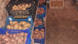 N'oubliez pas de surveiller les légumes racines stockés. N'oubliez pas de surveiller les légumes racines stockés.