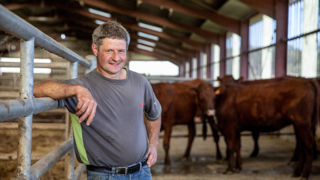Nicolas Capsenroux, éleveur allaitant dans le Cantal, fait de la sécurité une priorité sur son exploitation. Nicolas Capsenroux, éleveur allaitant dans le Cantal, fait de la sécurité une priorité sur son exploitation.