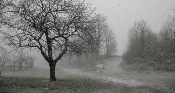Vague de froid en France