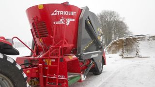 Les Hollandais de Trioliet sont familiers des températures négatives. Les Hollandais de Trioliet sont familiers des températures négatives.