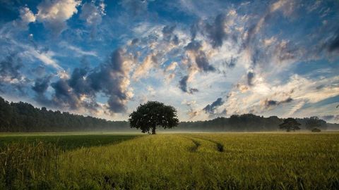 L'année 2023 a été marquée par l'humidité et la douceur
