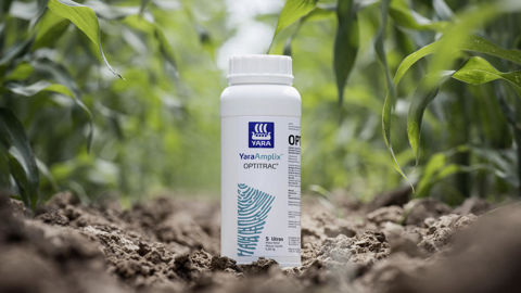 L’utilisation des quatre biostimulants actuellement présents dans la gamme YaraAmplix permet, selon Yara, de stimuler le métabolisme des plantes, de renforcer leur résistance aux stress abiotiques afin d’améliorer la productivité et la qualité des cultures.