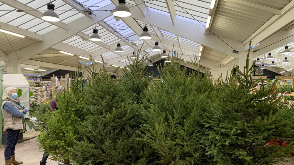 Les engagements pris par les adhérents de la fédération Jardineries et animaleries de France l’an passé concernant la gestion de l’énergie ont porté leurs fruits : les économies réalisées par plus de 360 points de vente se montent à plus de 20 % !