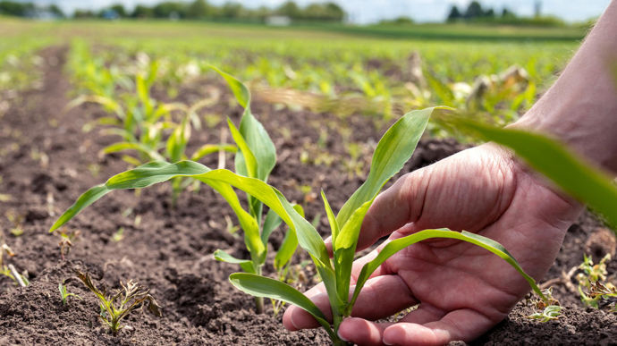 Une cinquantaine de techniciens ont été formés sur une fertilisation azotée plus vertueuse, notamment avec l’outil MyEasyCarbon.