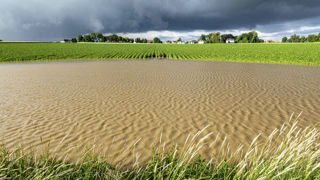 Le ministère de l'Intérieur reconnaît 169 nouvelles communes en état de catastrophe naturelle après des inondations survenues entre la fin de 2023 et le début de 2024. Le ministère de l'Intérieur reconnaît 169 nouvelles communes en état de catastrophe naturelle après des inondations survenues entre la fin de 2023 et le début de 2024.