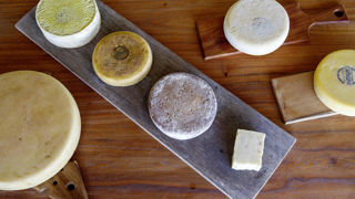 Outre le traditionnel Canastra, Thiago aime créer de nouveaux fromages. Au Mondial des Fromages de Tours en 2023, Thiago a remporté deux nouvelles médailles, bronze et argent. Outre le traditionnel Canastra, Thiago aime créer de nouveaux fromages. Au Mondial des Fromages de Tours en 2023, Thiago a remporté deux nouvelles médailles, bronze et argent.