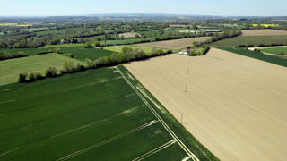 Les résultats de ces études soulignent « le rôle essentiel de la diversité des cultures dans la réduction du recours aux pesticides », affirme l'Inrae. Les résultats de ces études soulignent « le rôle essentiel de la diversité des cultures dans la réduction du recours aux pesticides », affirme l'Inrae.