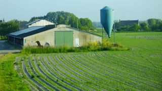 L'intégration peut être une solution pour démarrer une activité d'élevage avec plus de sérénité.