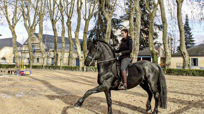 Patrimoine. Des visites animées au Haras national | Le Télégramme