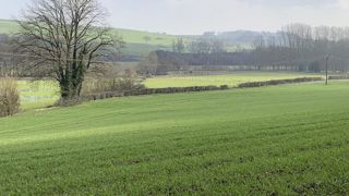 Les surfaces de blé tendre sont estimées à 4,36 millions d’hectares, en baisse de 7,7 % par rapport à 2023. Les surfaces de blé tendre sont estimées à 4,36 millions d’hectares, en baisse de 7,7 % par rapport à 2023.
