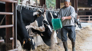 Le prix des aliments composés a diminué de 10,5 % sur un an, au dernier trimestre 2023. Le prix des aliments composés a diminué de 10,5 % sur un an, au dernier trimestre 2023.