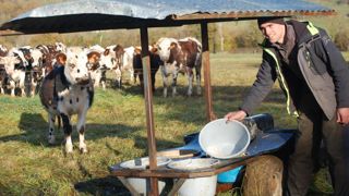 Armand Choinard a conçu cette charrette pour pouvoir déplacer le bar à minéraux facilement au pâturage.