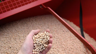 Terres Inovia rappelle que pour les producteurs utilisant leurs graines de ferme, il est important de réaliser un test de germination, si ça n'a pas déjà été fait, afin d'adapter la densité. Terres Inovia rappelle que pour les producteurs utilisant leurs graines de ferme, il est important de réaliser un test de germination, si ça n'a pas déjà été fait, afin d'adapter la densité.