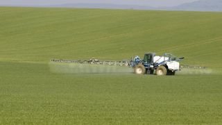 En premier lieu, on visera des adventices à des stades jeunes pour maximiser l'efficacité du traitement herbicides des céréales, En premier lieu, on visera des adventices à des stades jeunes pour maximiser l'efficacité du traitement herbicides des céréales,