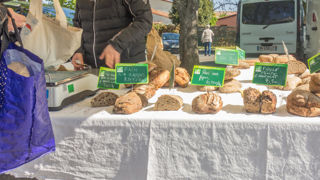 La commercialisation fait parti des postes de travail le moins anticipé d'après le projet Trac. La commercialisation fait parti des postes de travail le moins anticipé d'après le projet Trac.
