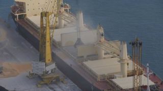 La concurrence reste présente sur le marché mondial des céréales.