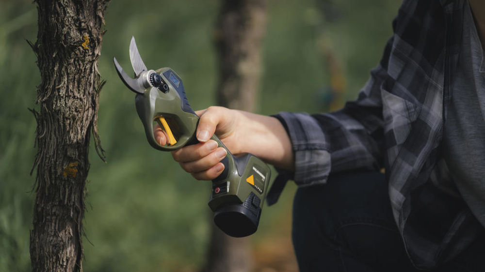 Le sécateur Wildhorn 32 d'Alpen Swiss Tools.