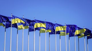 Les importations dédouanées de ces produits seront ainsi plafonnées aux niveaux moyens importés par l’Union européenne en 2022 et 2023, Les importations dédouanées de ces produits seront ainsi plafonnées aux niveaux moyens importés par l’Union européenne en 2022 et 2023,
