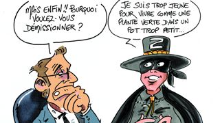 La génération Z comme Zoro. La génération Z comme Zoro.
