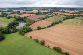 La superficie maximale de la parcelle de subsistance est fixée par arrêté prefectoral.