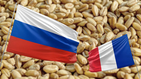 Le poids croissant de la Russie sur le marché mondial du blé influence les flux français vers certains de ses clients historiques, comme l'Égypte, l'Algérie, ou même d'Espagne, par effet domino.
