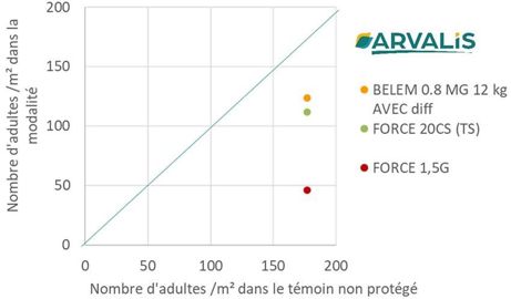Comparatif des larvicides - essai Arvalis Hombourg 2023 Comparatif des larvicides - essai Arvalis Hombourg 2023