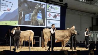 Les productions bovines seront mises à l'honneur. Les productions bovines seront mises à l'honneur.
