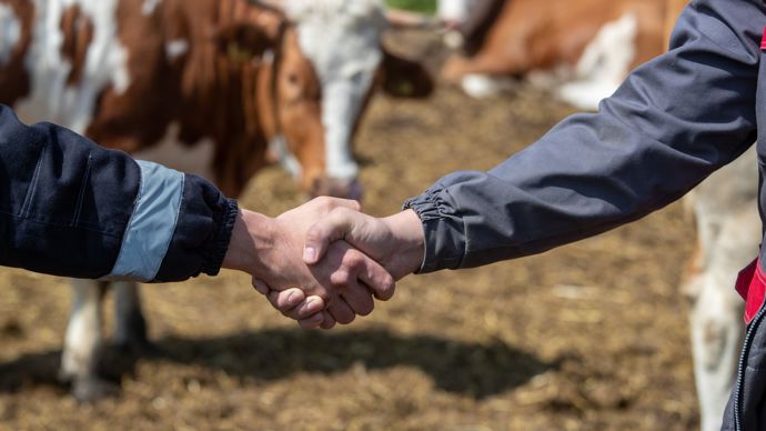Recruter est parfois difficile en élevage. Comment mettre toutes les chances de son côté ?