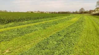 L'hiver doux et la pluviométrie abondante annonce des ensilages d'herbe précoces. L'hiver doux et la pluviométrie abondante annonce des ensilages d'herbe précoces.