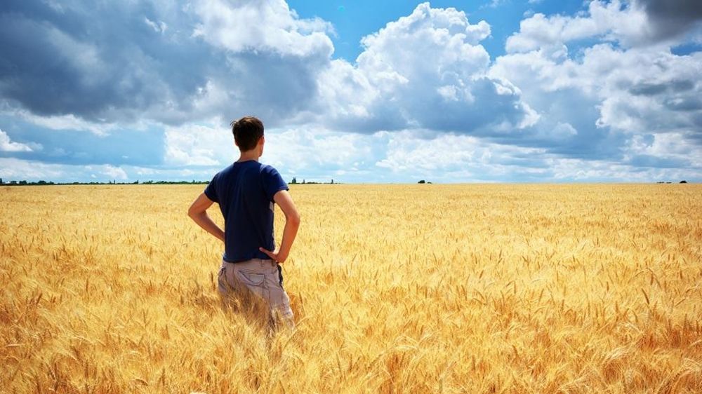 Agriculteur dans un champ de blé