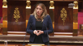 La députée Marie Pochon, rapporteure de la proposition de loi, appelait à un « signal fort » de la part des députés, le 4 avril 2024 à l'Assemblée nationale.