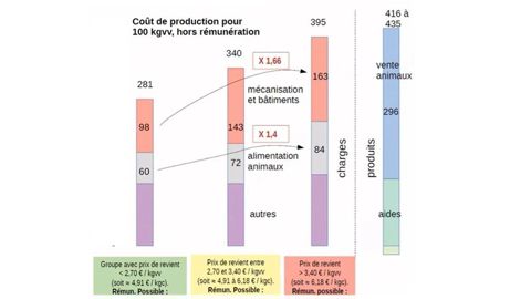 Coût de production des exploitations naisseur-engraisseur