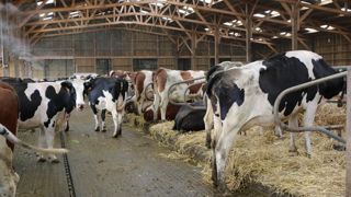 Plusieurs leviers d'actions peuvent permettre de limiter les émissions d'ammoniac, notamment dans les bâtiments. Plusieurs leviers d'actions peuvent permettre de limiter les émissions d'ammoniac, notamment dans les bâtiments.