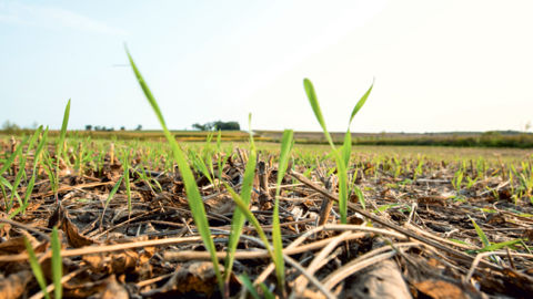 Et si on facilitait la transition agro-écologique ?