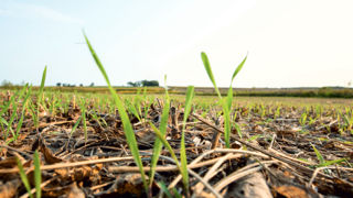 Et si on facilitait la transition agro-écologique ?