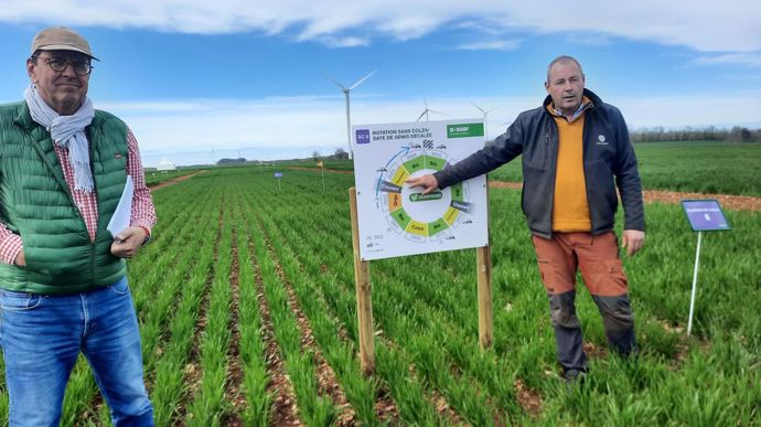 Dominique Jonville, responsable filières grandes cultures et carbone chez BASF, et Vincent Vaccari, technicien expérimentation chez Alliance BFC, jeudi 11 avril, sur la ferme expérimentale de Fromenteau (Côte-d'Or).
