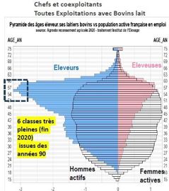 Pyramide des ages des eleveurs laitiers