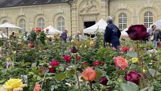 Le château de La Roche-Guyon (Val-d’Oise) accueillera sa 30e édition de Plantes plaisirs passions les 4 et 5 mai 2024. Le château de La Roche-Guyon (Val-d’Oise) accueillera sa 30e édition de Plantes plaisirs passions les 4 et 5 mai 2024.
