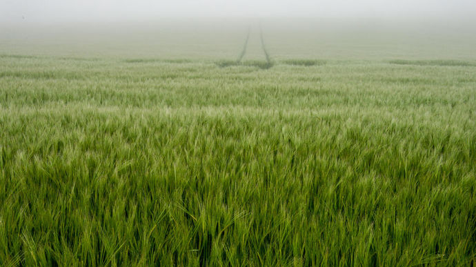En matière de décarbonation de la filière brassicole, des initiatives sont déjà engagées avec notamment des filières orge bas carbone, de la R et D pour une orge brassicole avec moins de protéines mais de meilleure qualité technologique…