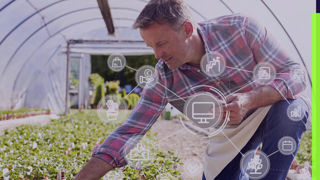 Un guide pour choisir son logiciel ERP horticole Un guide pour choisir son logiciel ERP horticole