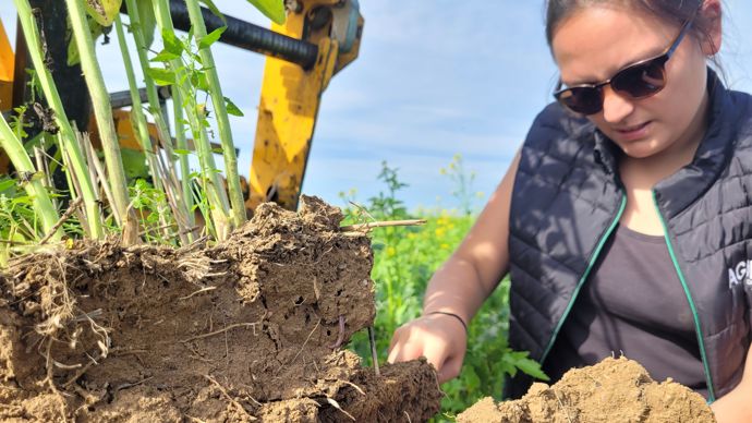 En tant qu’experte sur la fertilité des sols au sein du pôle agroécologie d’Agora, Claire Deneufbourg met en place des expérimentations pour suivre différents indicateurs comme la bonne structure du sol.