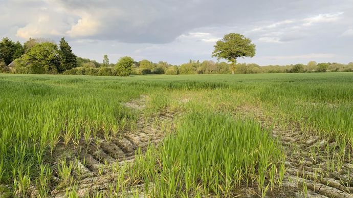 Sur la façade atlantique, les précipitations abondantes depuis la mi-octobre ont laissé des traces, comme ici en Loire-Atlantique, le 23 avril.