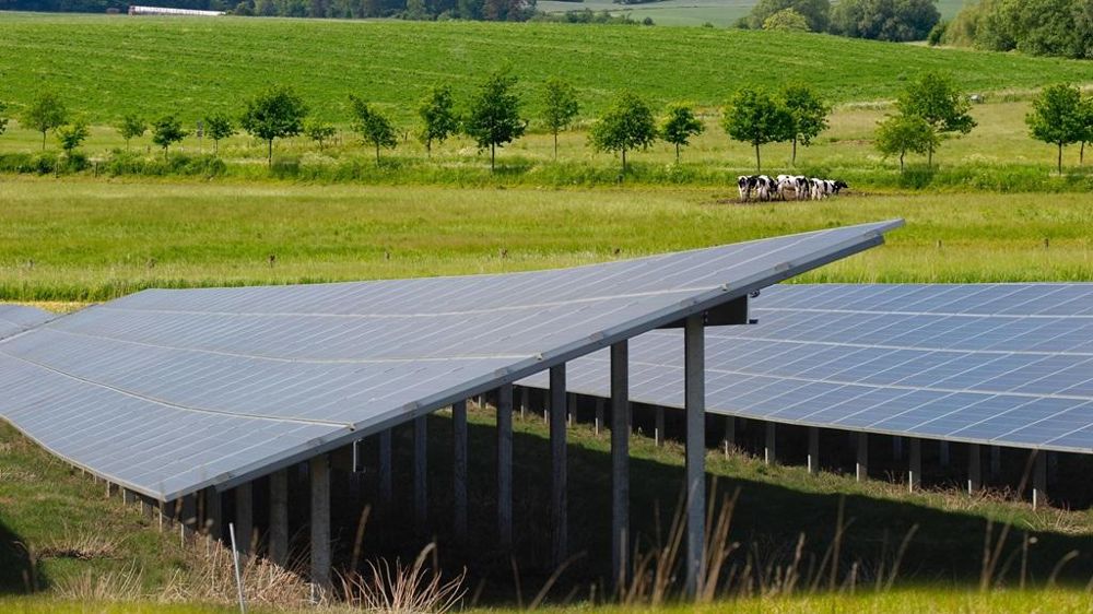 Panneaux solaires dans une prairie Panneaux solaires dans une prairie