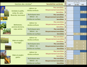 Grille d'évaluation pour fusariose