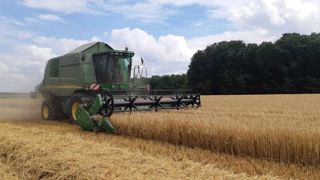 En 2023, la France avait exporté plus d'orges qu'habituellement vers l'Union européenne, pour notamment compenser la récolte danoise « catastrophique ». En 2023, la France avait exporté plus d'orges qu'habituellement vers l'Union européenne, pour notamment compenser la récolte danoise « catastrophique ».