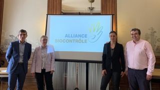L'association IBMA France devient désormais Alliance Biocontrôle. De gauche à droite : Ronan Goff, vice-président et trésorier de Alliance Biocontrôle ; Céline Barthet, présidente ; Anne Duval, responsable des affaires techniques et réglementaires ; Denis Longevialle, directeur général. L'association IBMA France devient désormais Alliance Biocontrôle. De gauche à droite : Ronan Goff, vice-président et trésorier de Alliance Biocontrôle ; Céline Barthet, présidente ; Anne Duval, responsable des affaires techniques et réglementaires ; Denis Longevialle, directeur général.