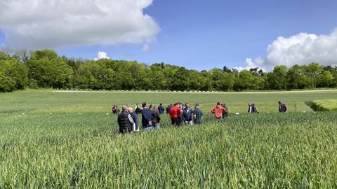 Noriap a fait découvrir, mercredi 15 mai, cinq thématiques d'essais sur la plateforme agronomique d'Ebeillaux (Oise) consacrée au désherbage des céréales.