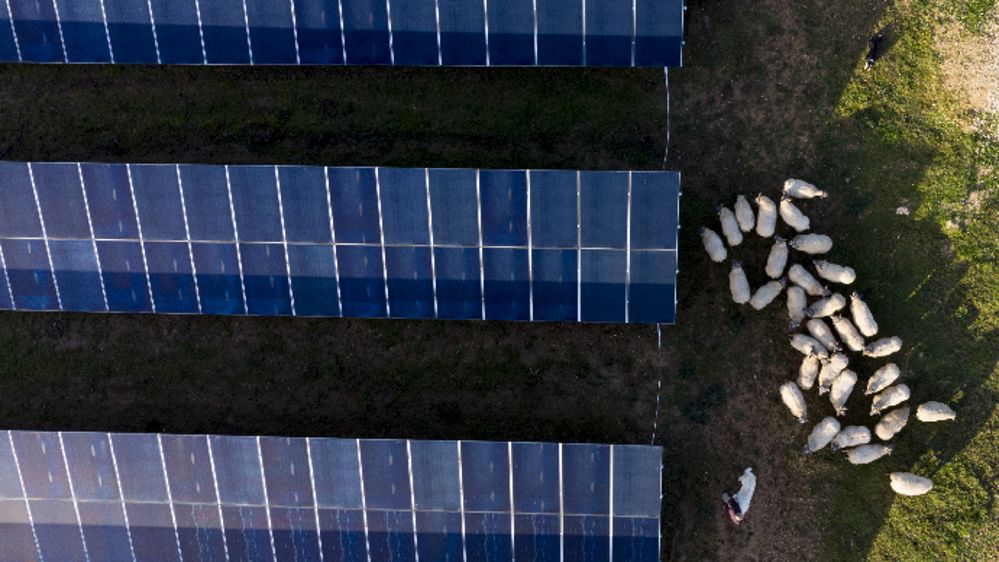 Energiter, le partenaire agile et à taille humaine des projets d’agrivoltaïsme